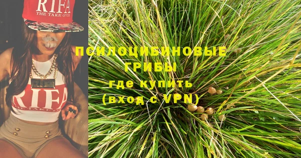дживик Абаза