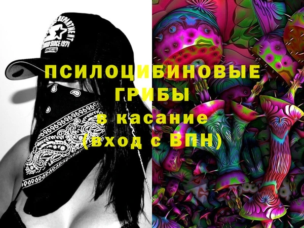 дживик Абаза