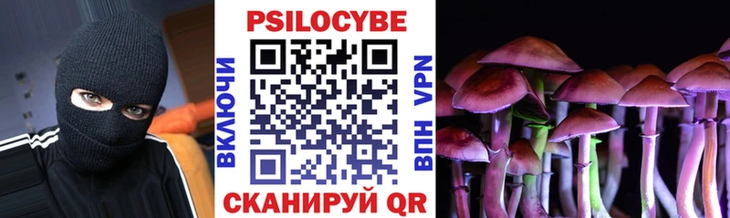 KRAKEN зеркало  Абаза  Галлюциногенные грибы Psilocybine cubensis 